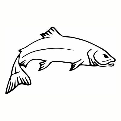 HoosierDecal Cool Fish Vinyl Decal for Boat Car Window