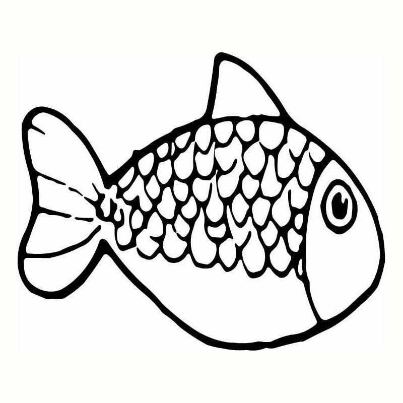 HoosierDecal Cool Fish Vinyl Decal for Boat Car Window - Hoosierdecal