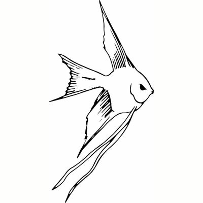HoosierDecal Cool Fish Vinyl Decal for Boat Car Window