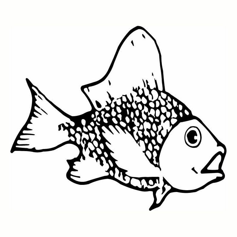 Hoosierdecal cool fish vinyl decal for boat car window hoosierdecal
