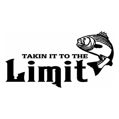HoosierDecal Cool Fishing Vinyl Decal for Boat Car Window