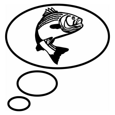 HoosierDecal Cool Fishing Vinyl Decal for Boat Car Window