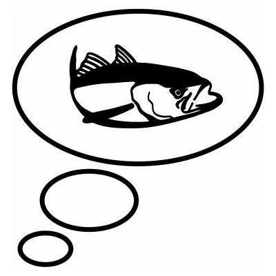 HoosierDecal Cool Fishing Vinyl Decal for Boat Car Window