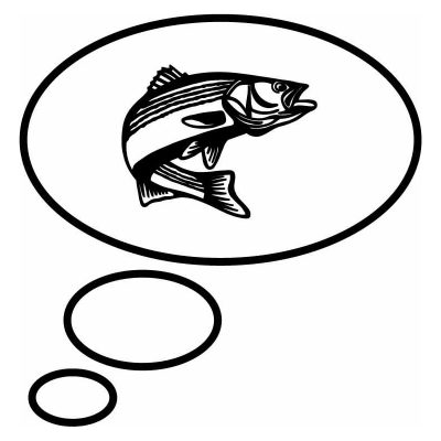 HoosierDecal Cool Fishing Vinyl Decal for Boat Car Window