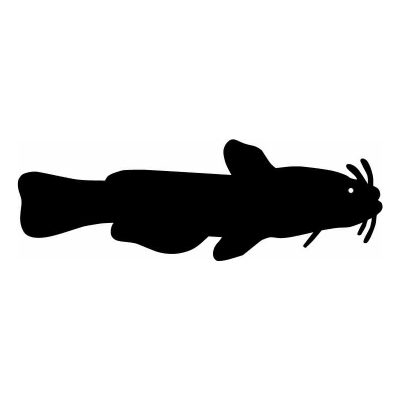 HoosierDecal Cool Fishing Vinyl Decal for Boat Car Window