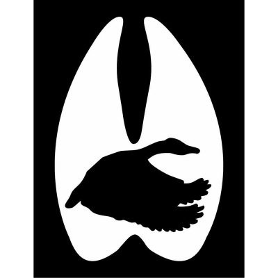 HoosierDecal Cool Hunting Vinyl Decal for Boat Car Window