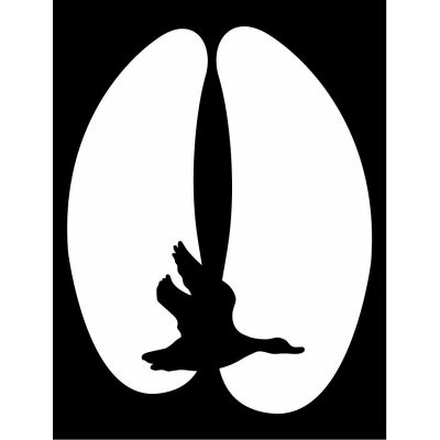 HoosierDecal Cool Hunting Vinyl Decal for Boat Car Window