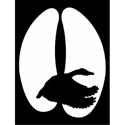 HoosierDecal Cool Hunting Vinyl Decal for Boat Car Window