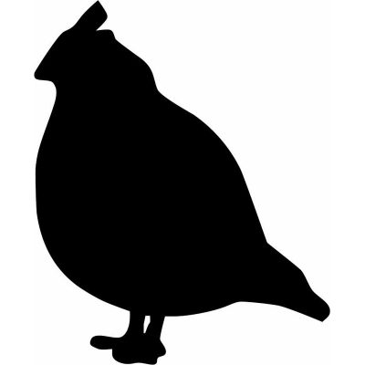 HoosierDecal Cool Hunting Vinyl Decal for Boat Car Window