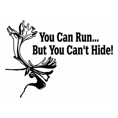 HoosierDecal Cool Hunting Vinyl Decal for Boat Car Window