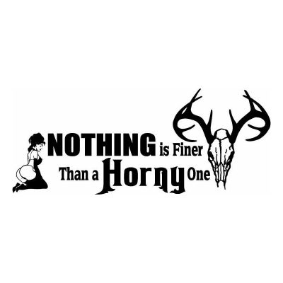 HoosierDecal Cool Hunting Vinyl Decal for Boat Car Window