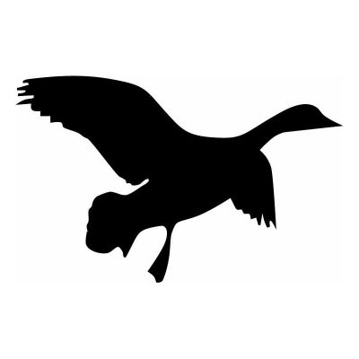 HoosierDecal Cool Hunting Vinyl Decal for Boat Car Window