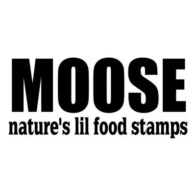 HoosierDecal Cool Hunting Vinyl Decal for Boat Car Window