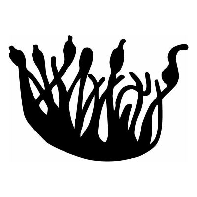 HoosierDecal Cool Hunting Vinyl Decal for Boat Car Window