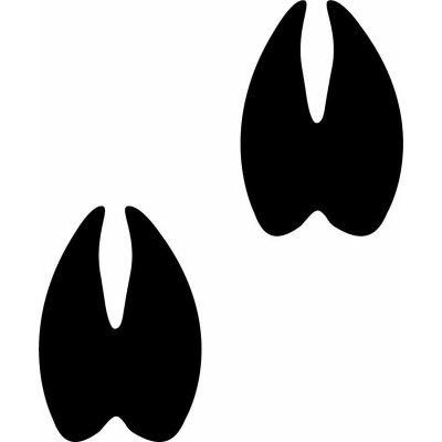 HoosierDecal Cool Hunting Vinyl Decal for Boat Car Window