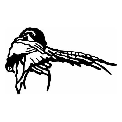HoosierDecal Cool Hunting Vinyl Decal for Boat Car Window