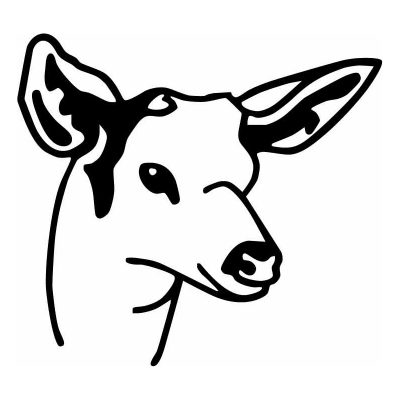 HoosierDecal Cool Deer Hunting Vinyl Decal for Truck or Car Window 1680
