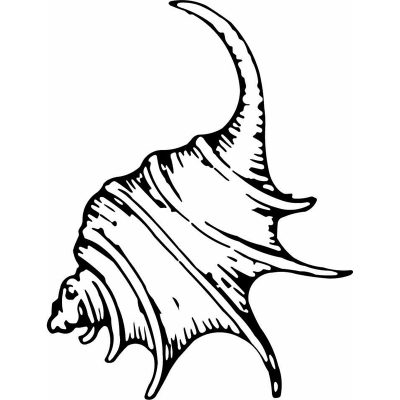 HoosierDecal Cool Shell Nautical Vinyl Decal for Boat Car Window 32