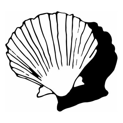 HoosierDecal Cool Seashell Nautical Vinyl Decal for Boat Car Window 39