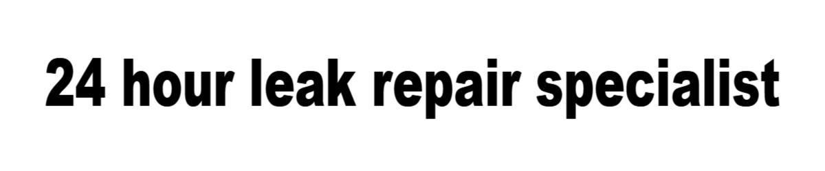 24 hour leak repair specialist