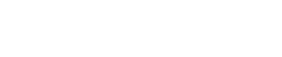 IN9802BZ