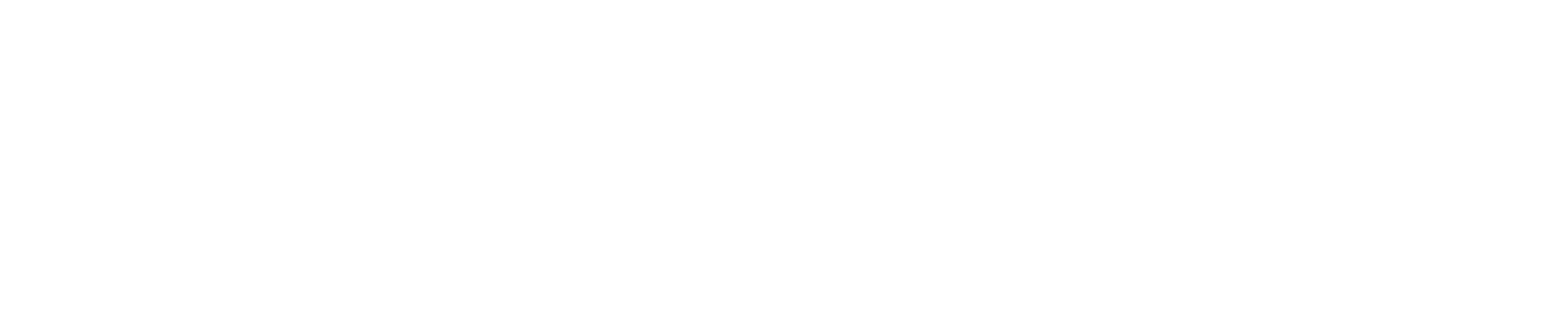 IN9802BZ