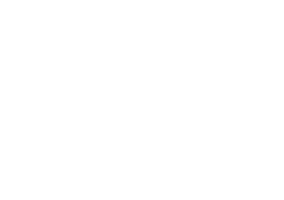 Southern Drip