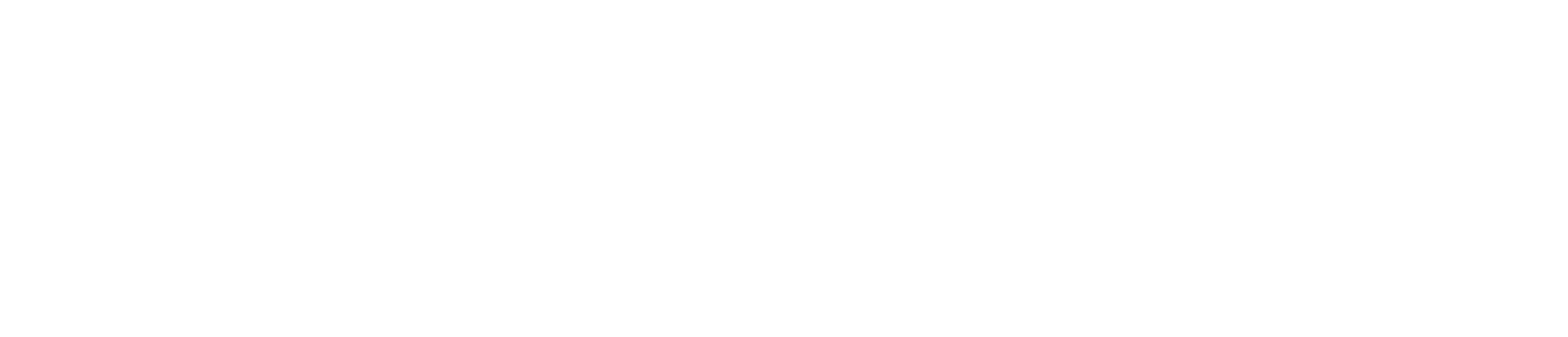 IN 5061 EE