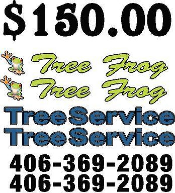 Tree Frog Tree Service-Boom