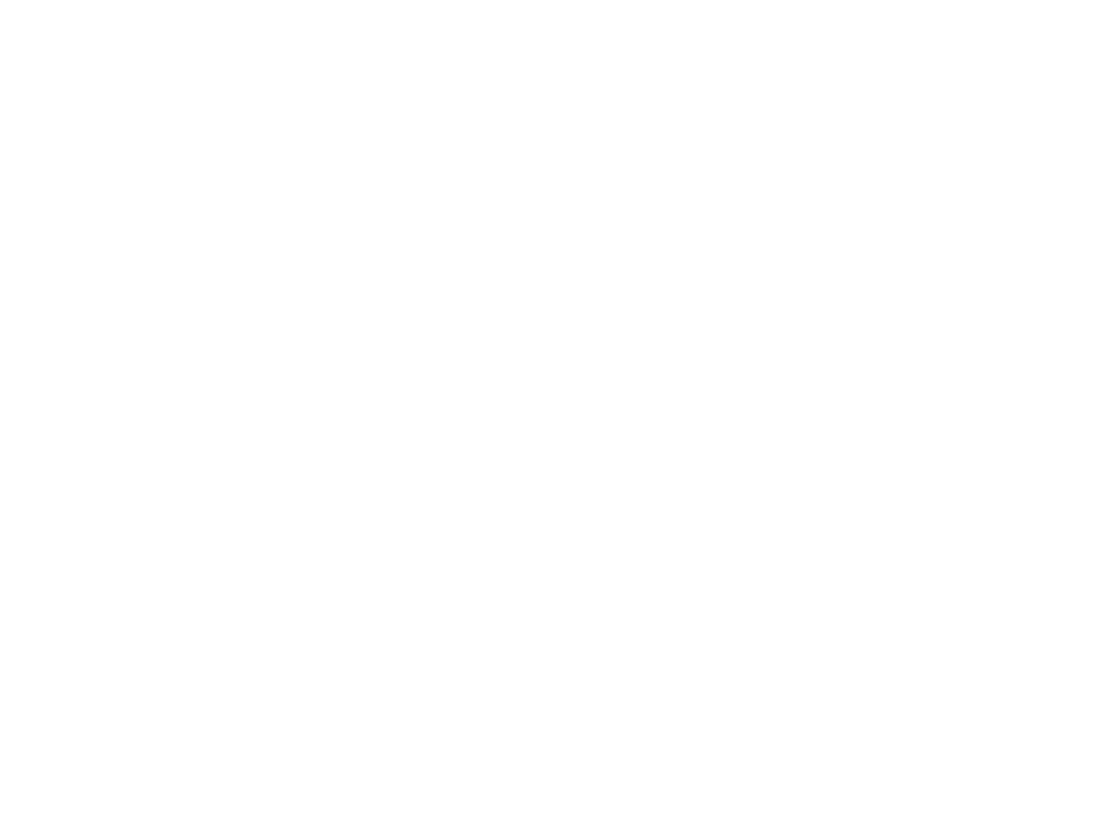 FL 4048 MZ