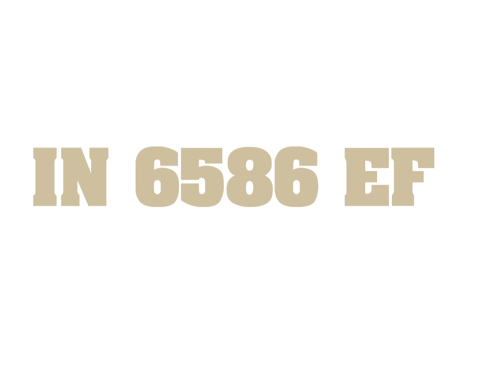 IN 6586 EF