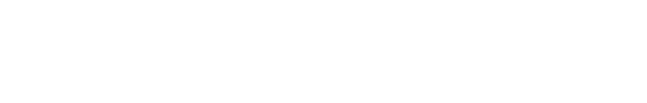 FL 3010 SX