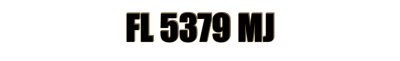 FL 5379 MJ