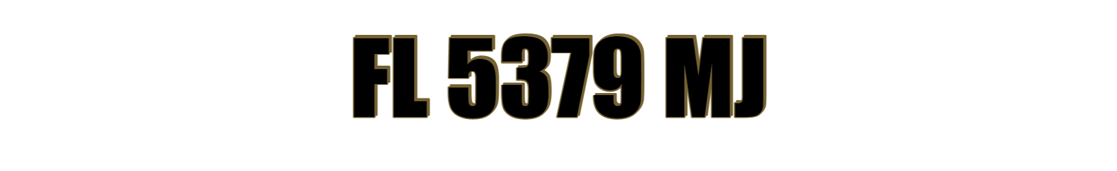 FL 5379 MJ