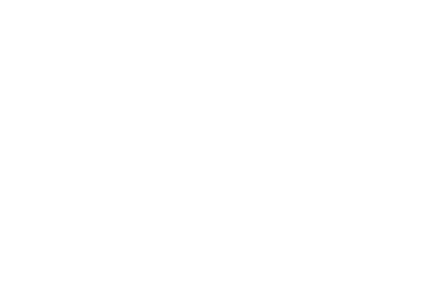 Fencing