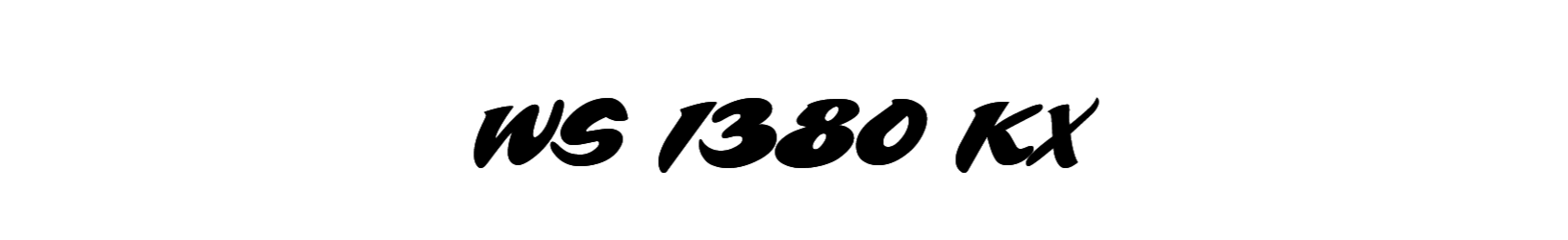 WS 1380 KX