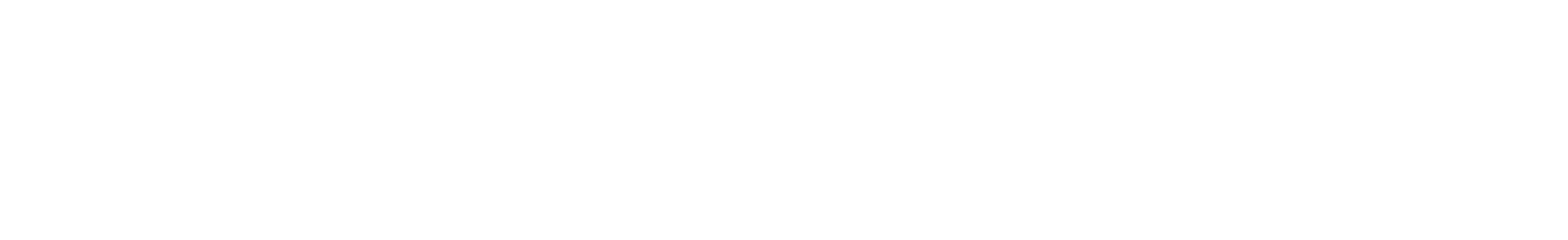 IN 3296 EF