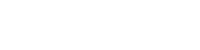 TN 2508 FV