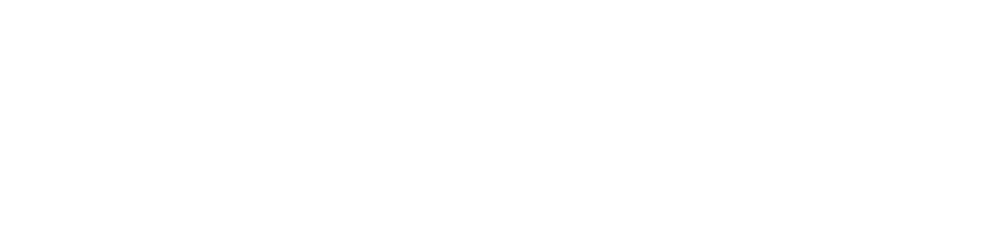 TN 2508 FV
