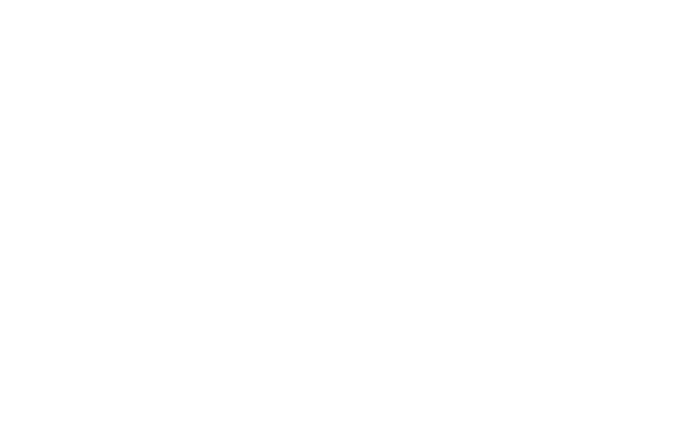 TN 3003 RT