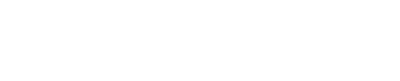 VT 1163 W