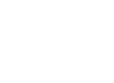SC 4343 DS