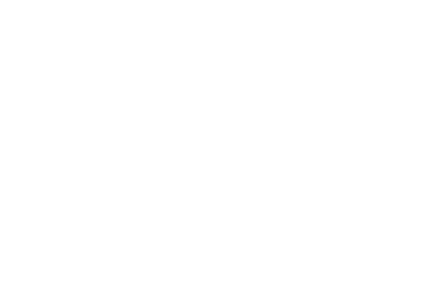 IL 3028 LB