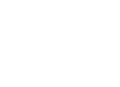 IN 4706 AV