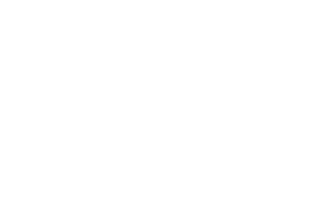 WN 5656 SZ