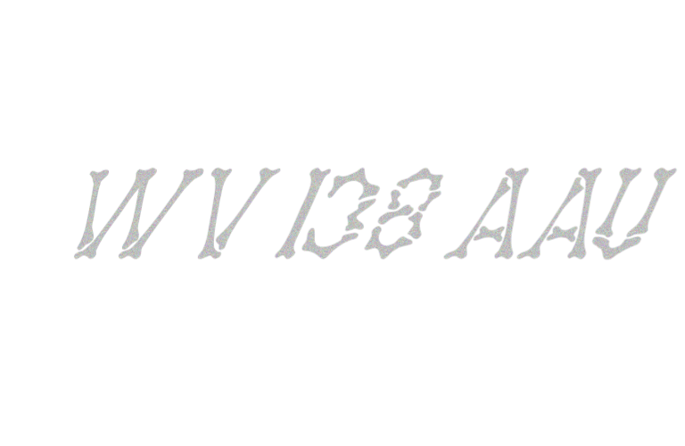 WV 138 AAU