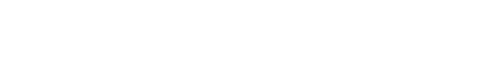 IN 4596 EJ