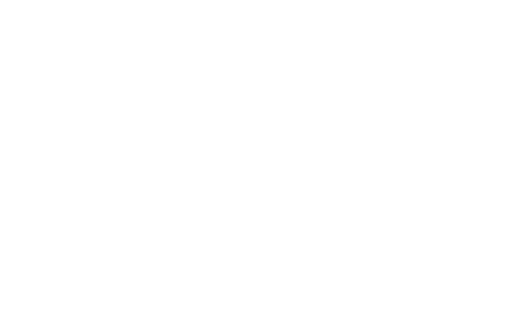 MN 1660 MG