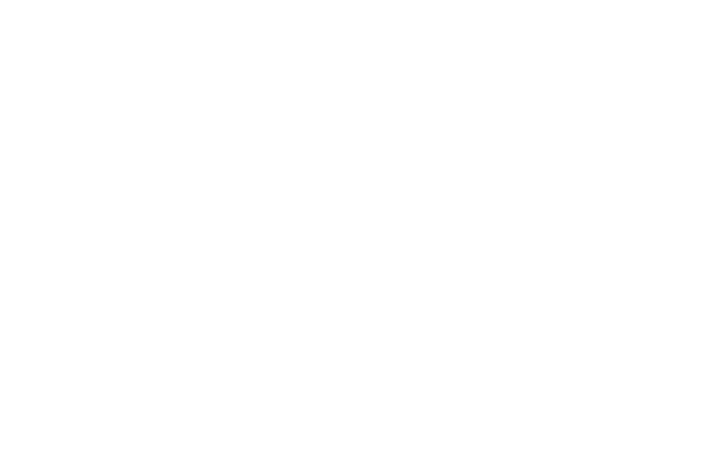 MN 1660 MG