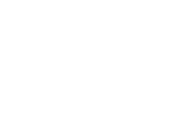 The Tiger
